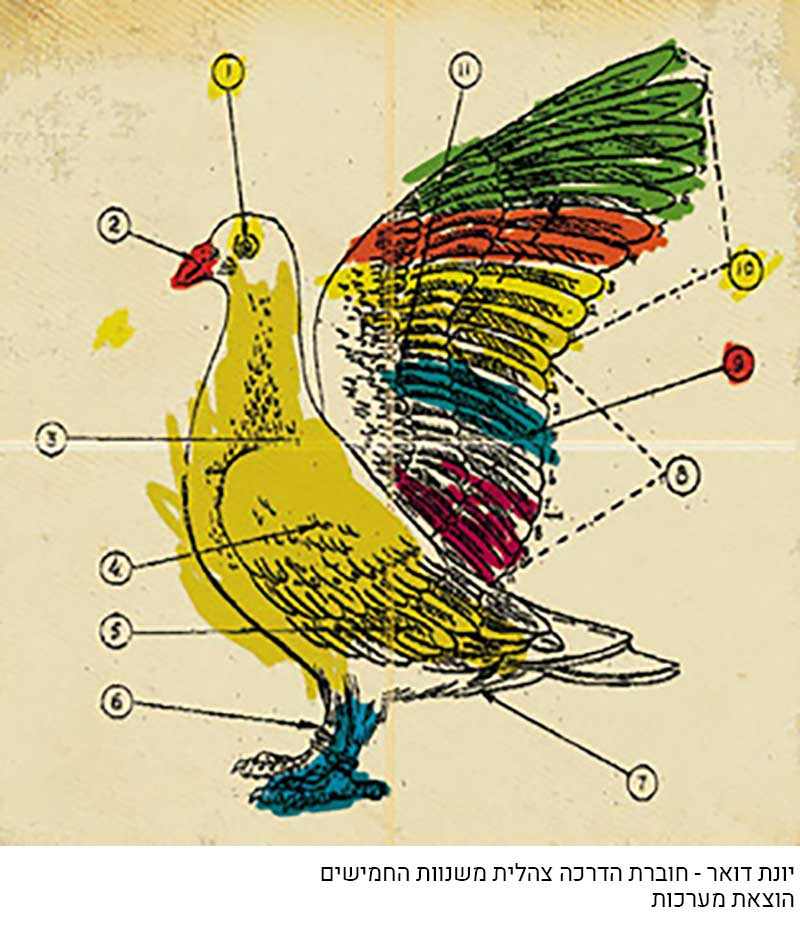 יונת השלג מעלה החמישה